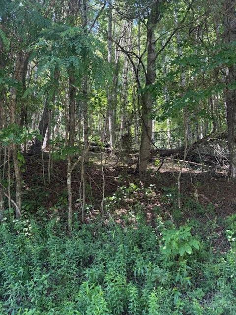 Image number 8 for the current listing