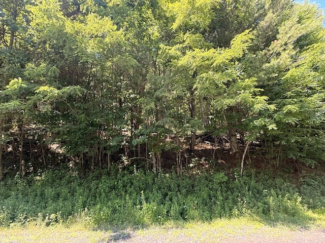 Image number 10 for the current listing