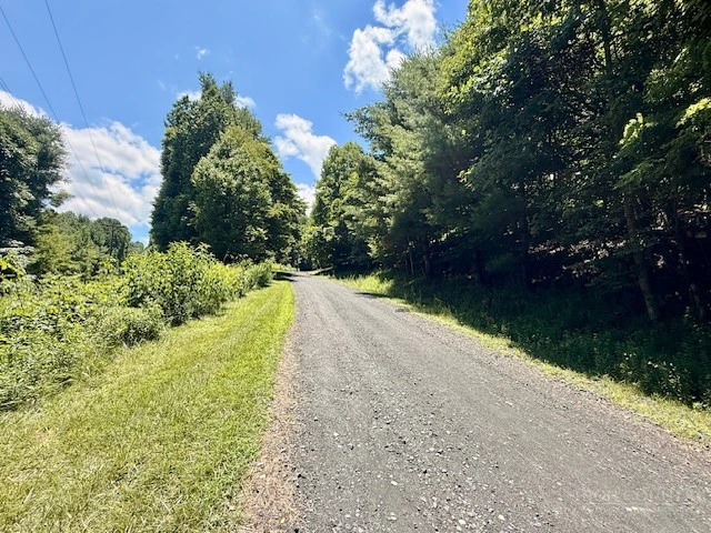 Image number 11 for the current listing