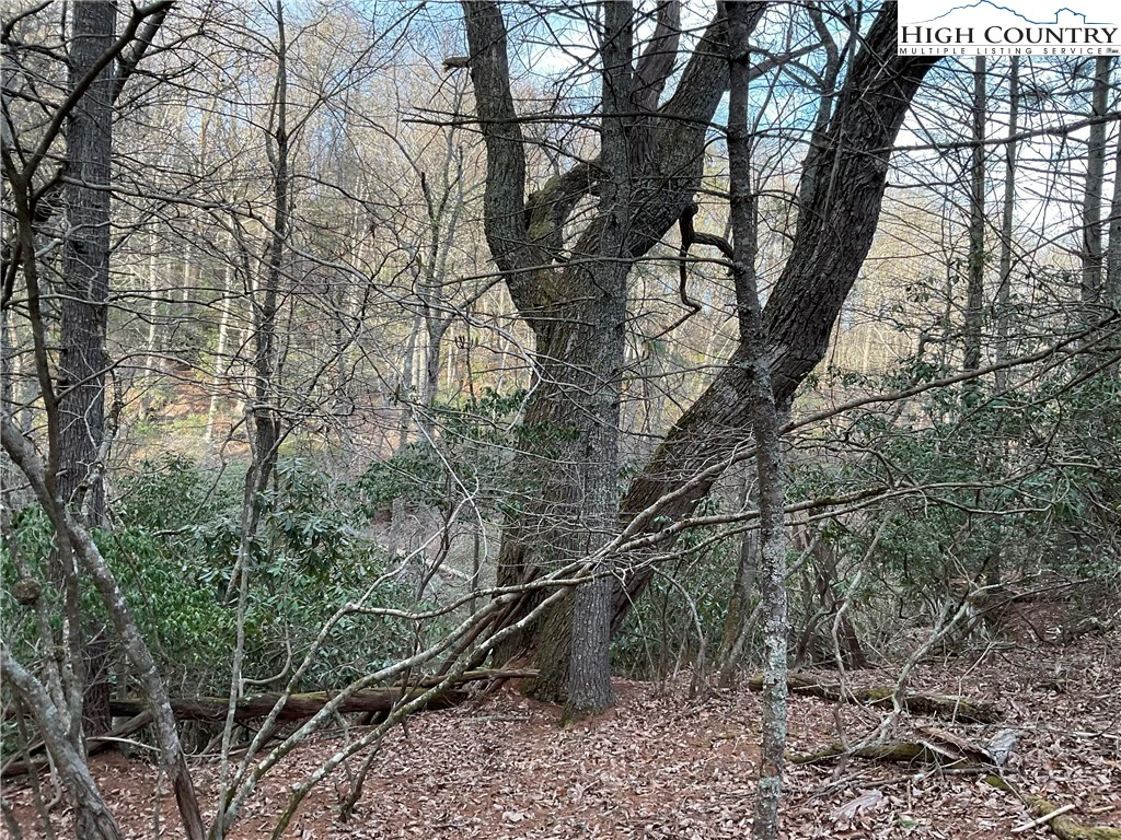 Image number 7 for the current listing