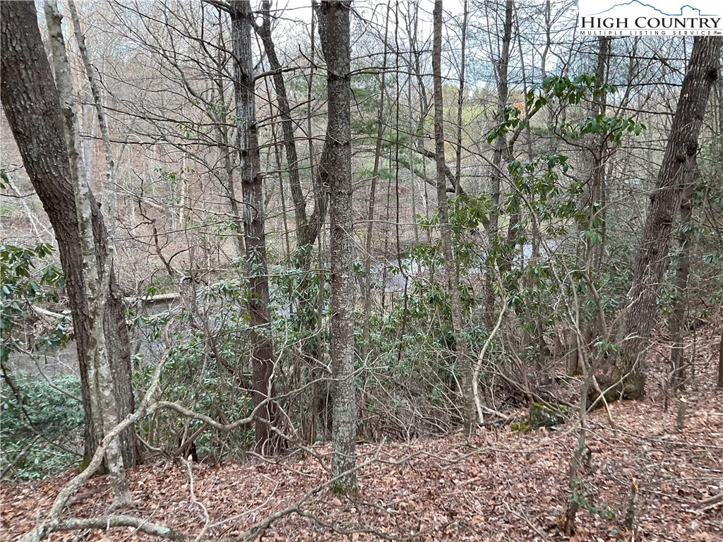 Image number 5 for the current listing