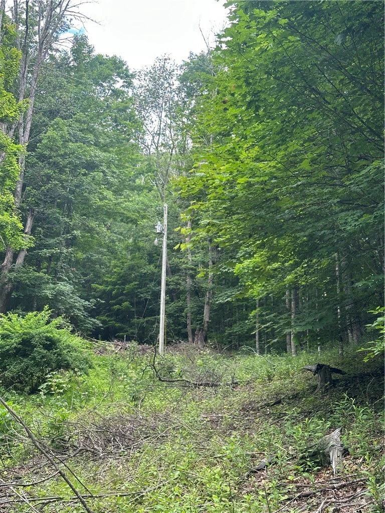 Image number 2 for the current listing