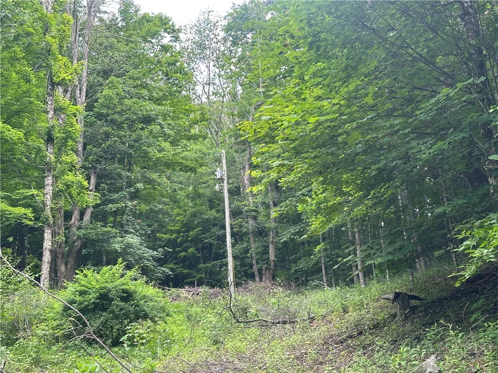 Image number 3 for the current listing