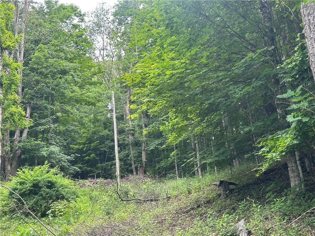 Image number 4 for the current listing