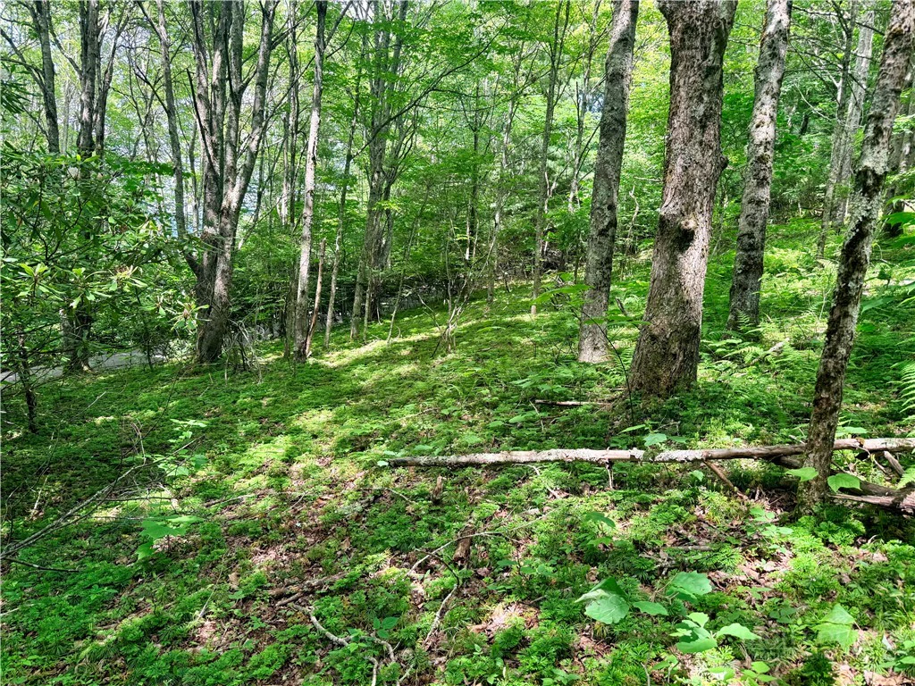 Image number 1 for the current listing