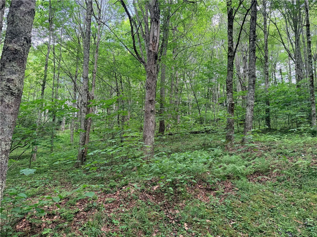 Image number 5 for the current listing