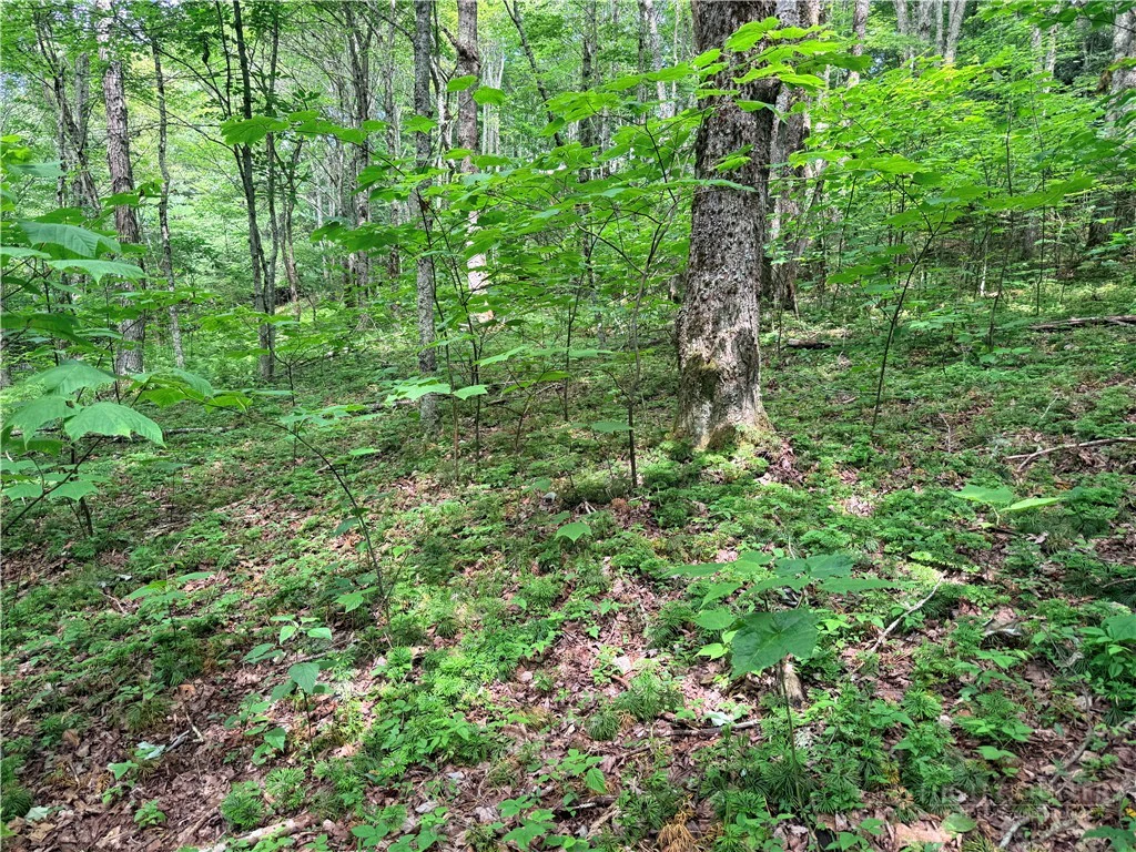 Image number 3 for the current listing