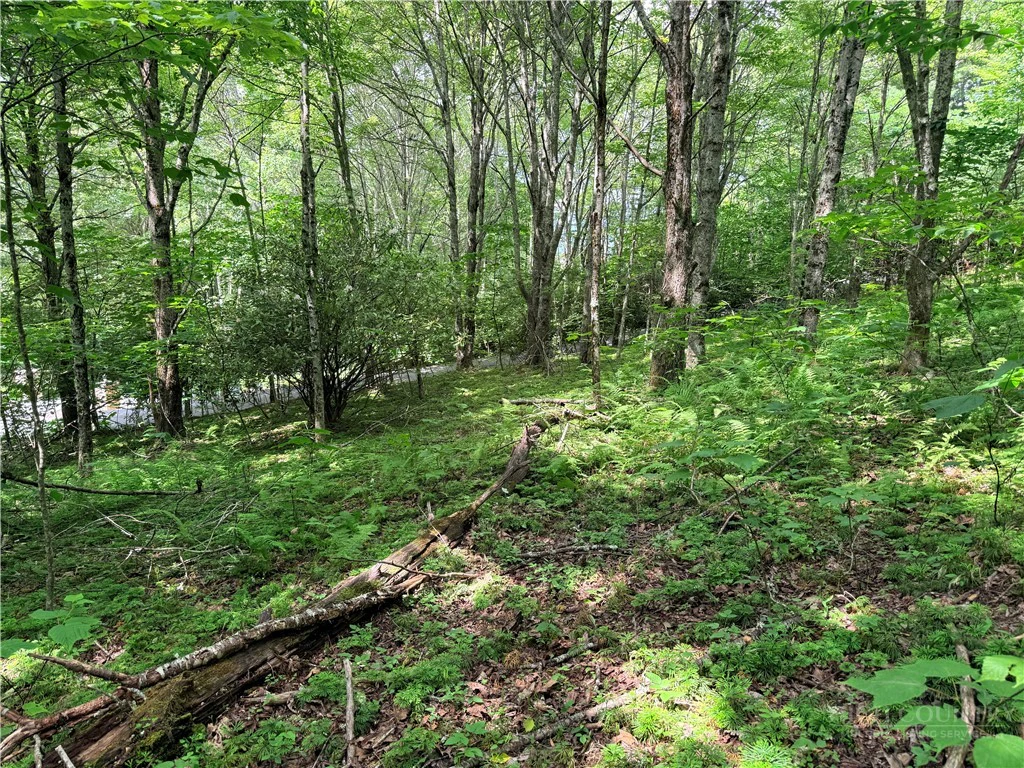 Image number 9 for the current listing