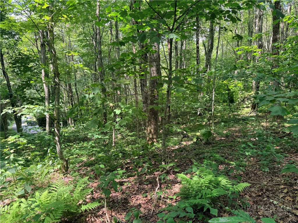 Image number 11 for the current listing