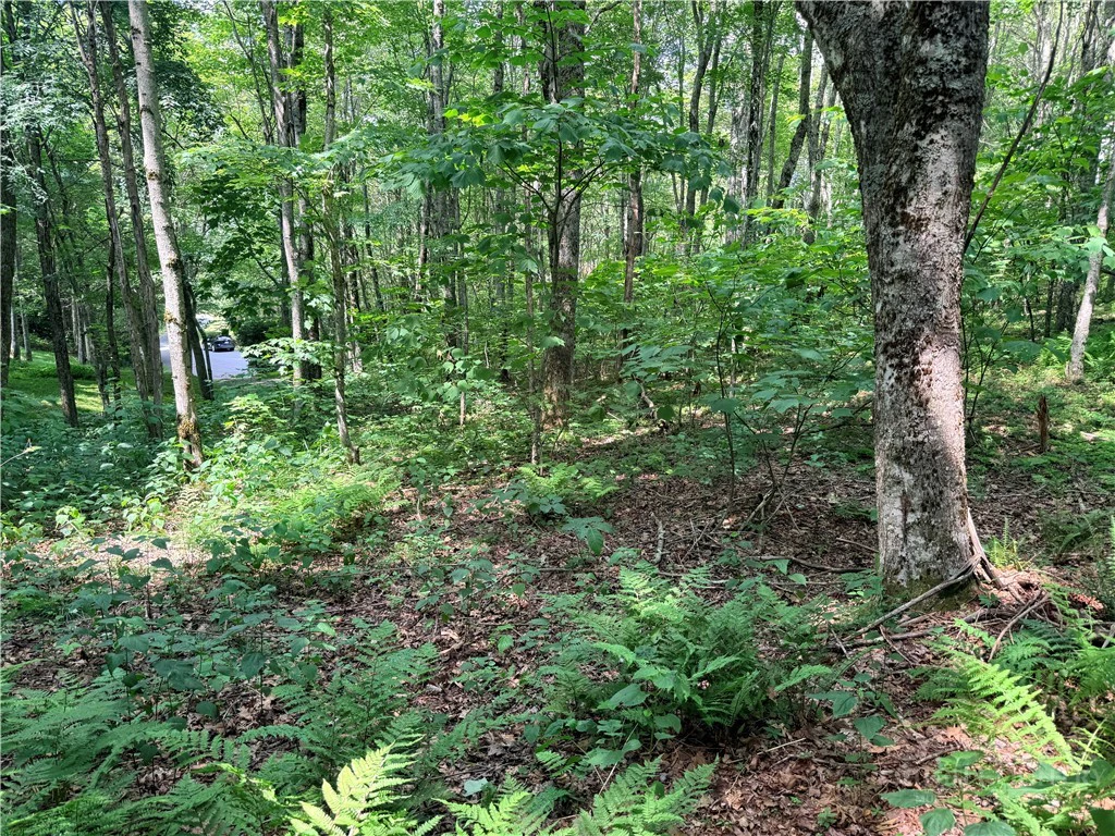 Image number 12 for the current listing