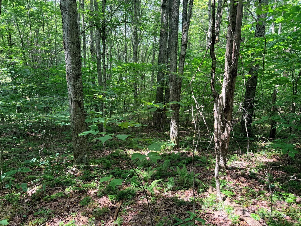 Image number 13 for the current listing