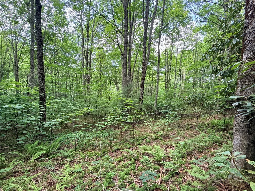 Image number 14 for the current listing