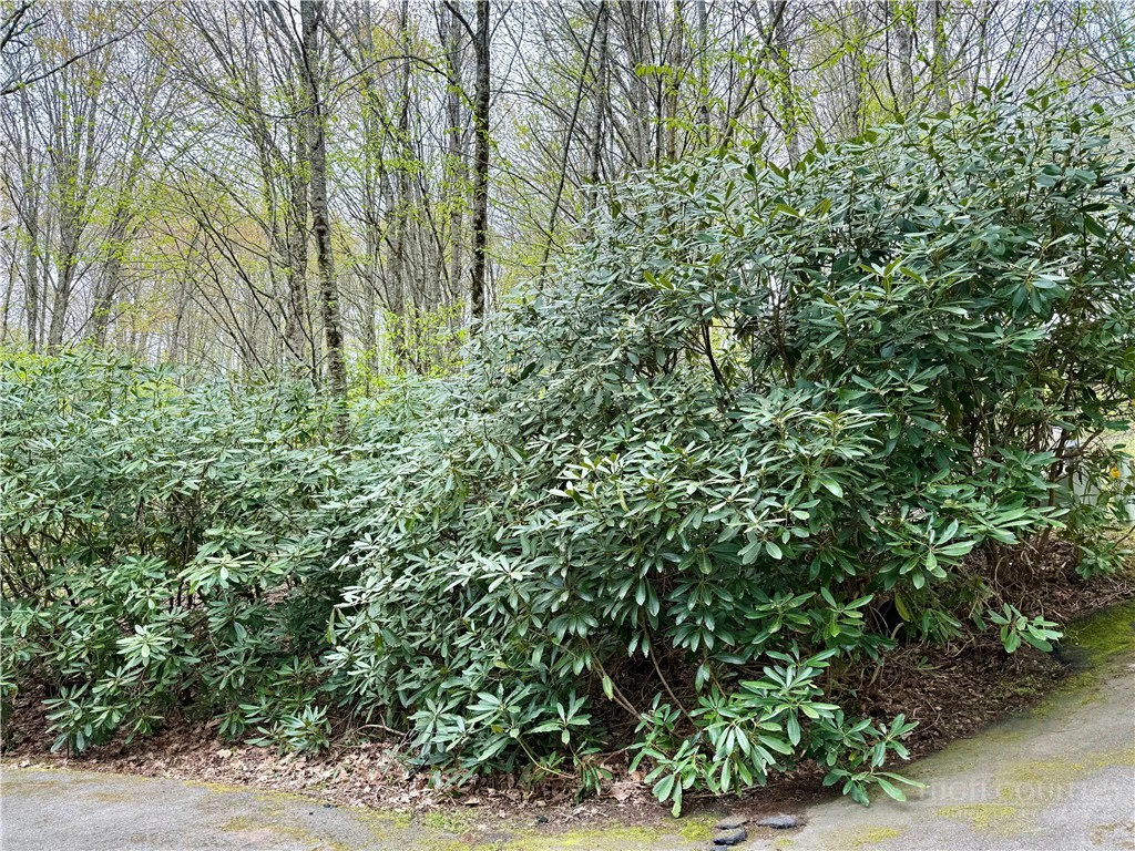 Image number 17 for the current listing
