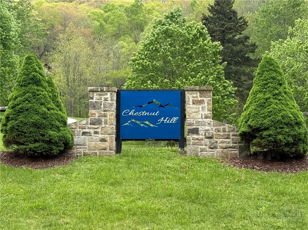 Image number 18 for the current listing