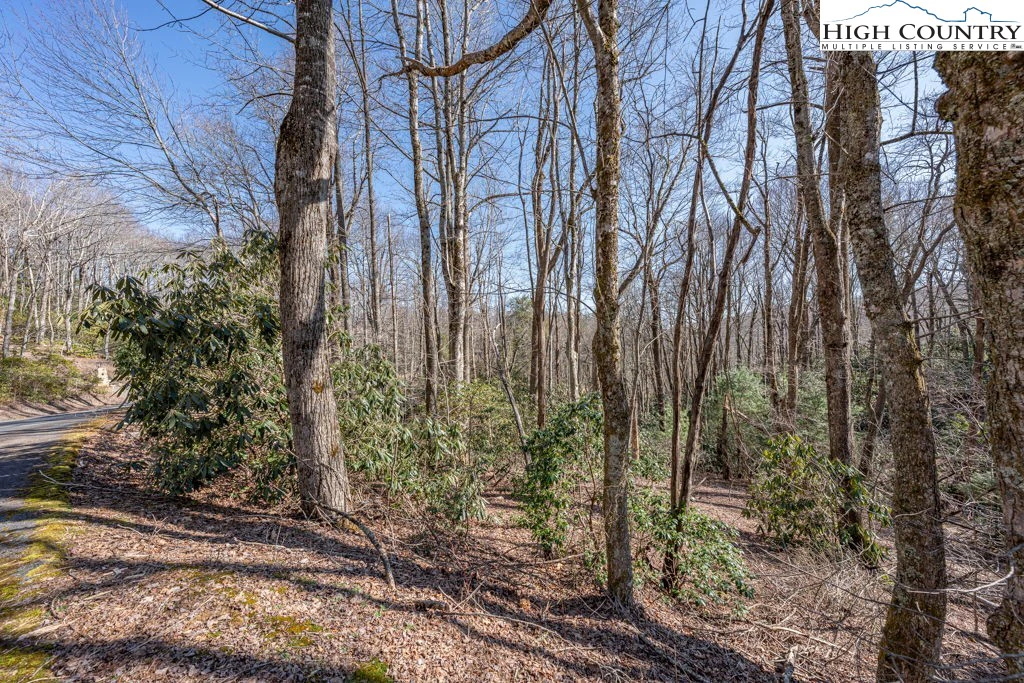 Image number 2 for the current listing