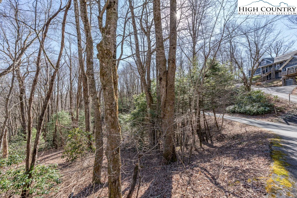 Image number 11 for the current listing