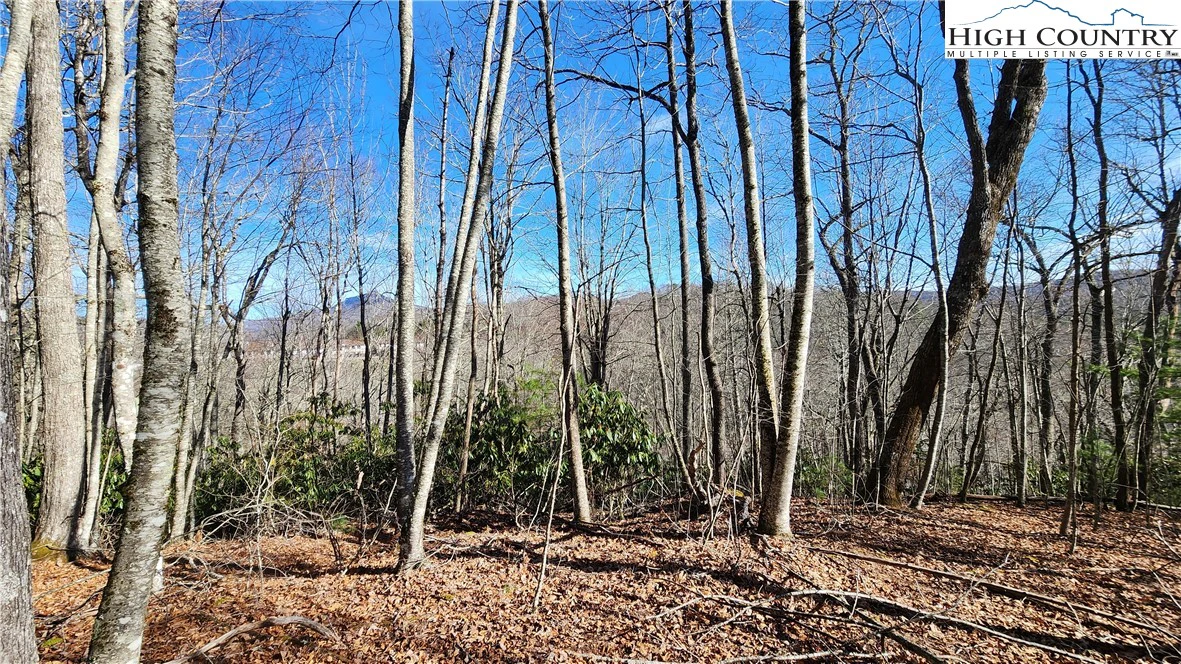 Image number 1 for the current listing