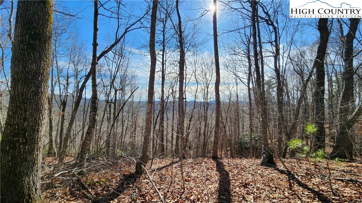 Image number 18 for the current listing