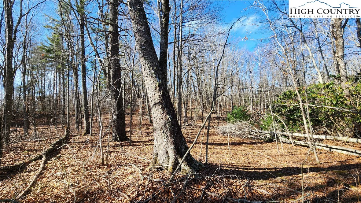 Image number 17 for the current listing