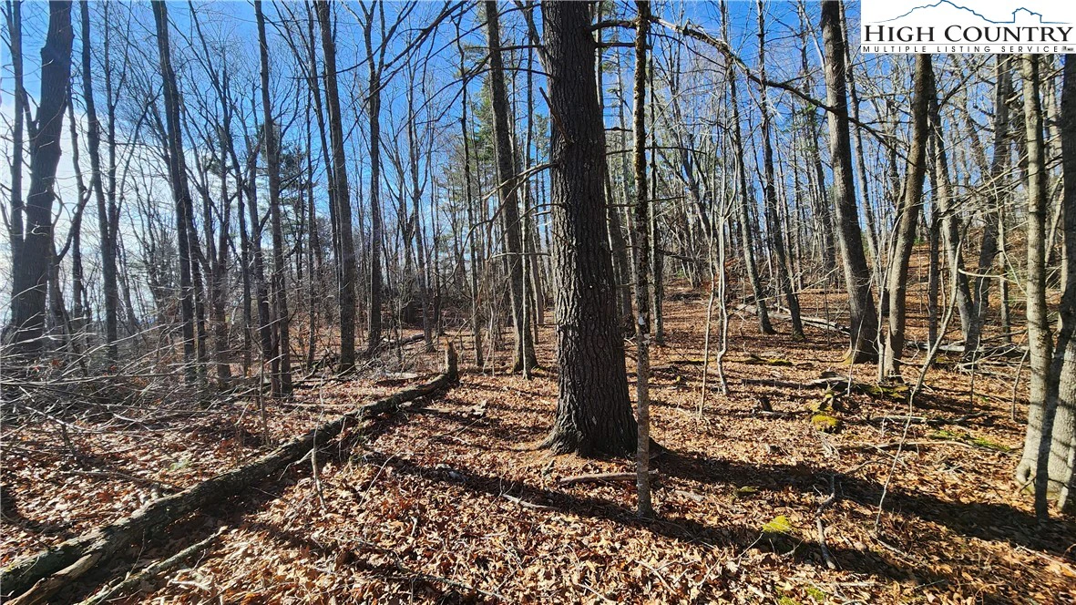 Image number 16 for the current listing