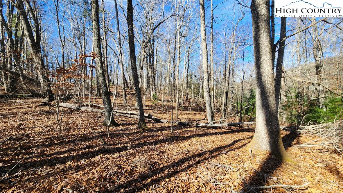 Image number 15 for the current listing