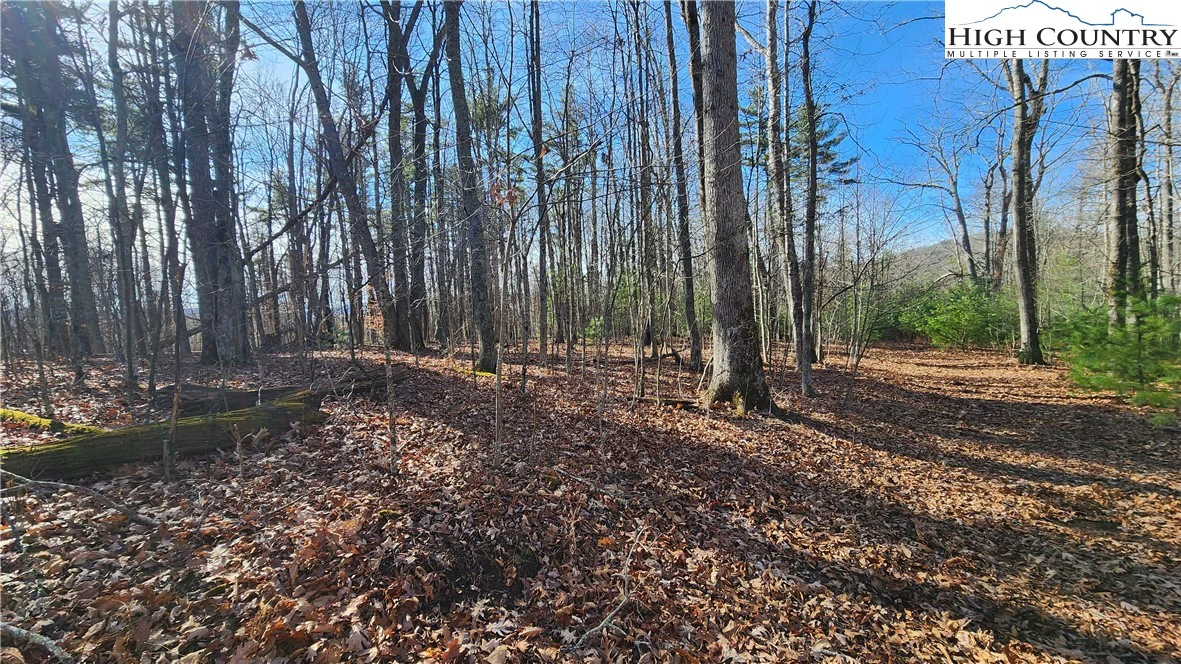 Image number 14 for the current listing