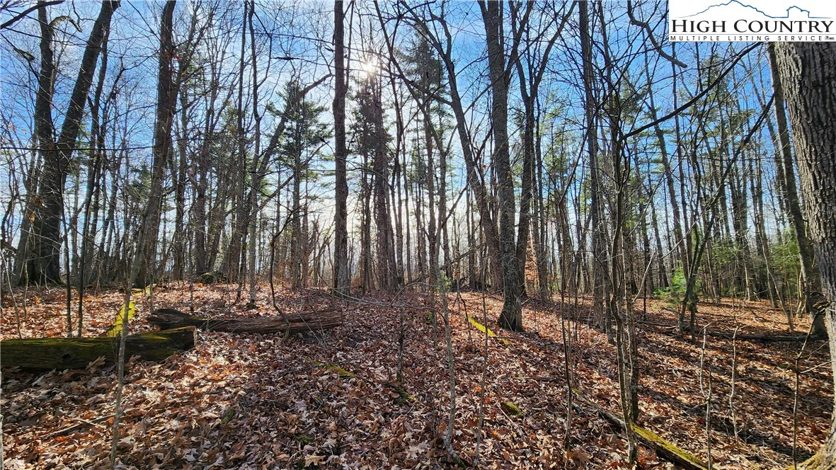 Image number 13 for the current listing