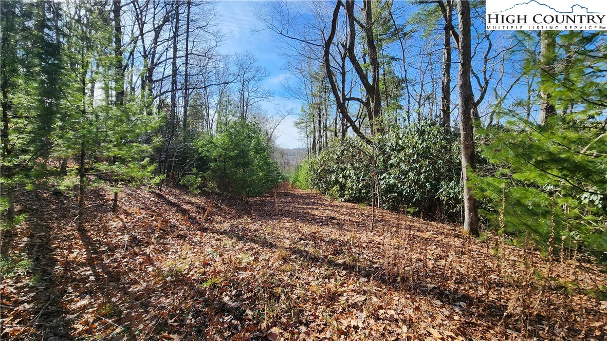 Image number 12 for the current listing