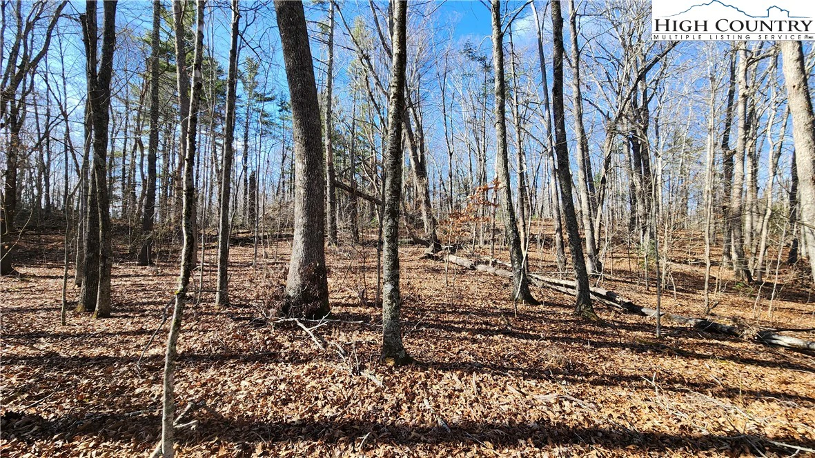 Image number 11 for the current listing