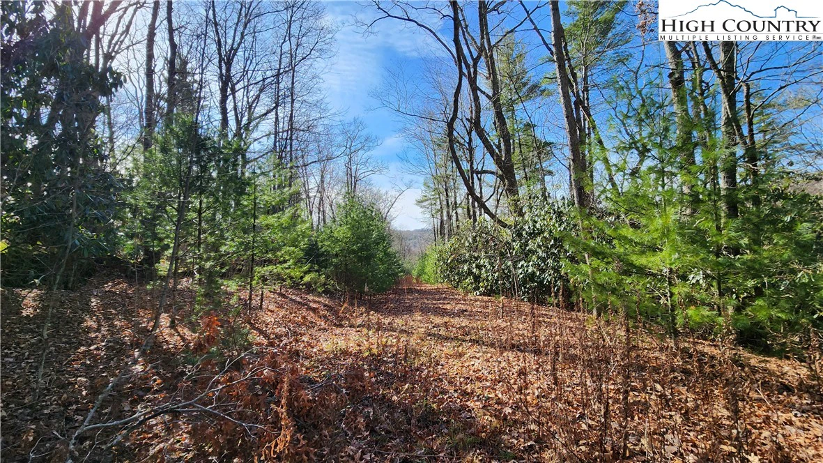 Image number 10 for the current listing
