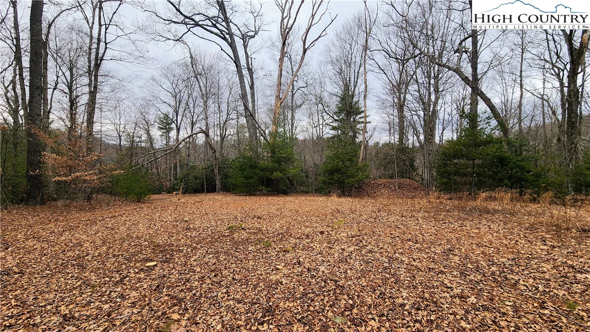 Image number 9 for the current listing