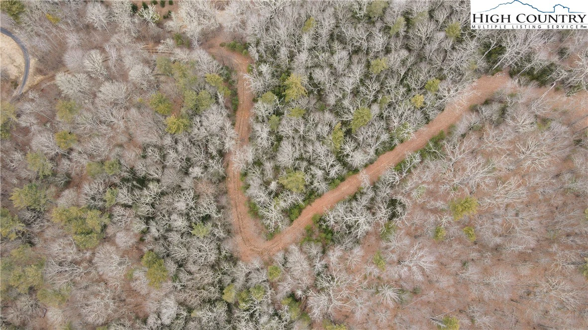 Image number 7 for the current listing