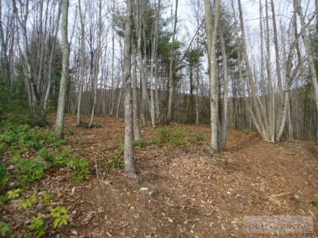 Image number 1 for the current listing