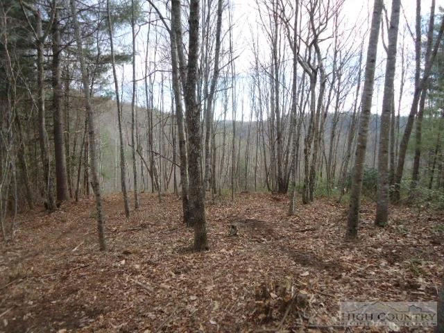Image number 4 for the current listing