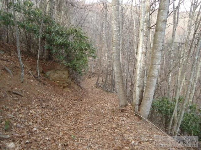Image number 5 for the current listing