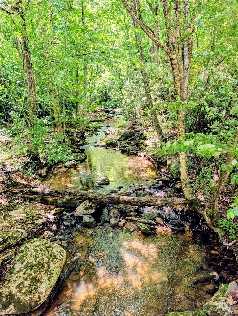 Image number 5 for the current listing