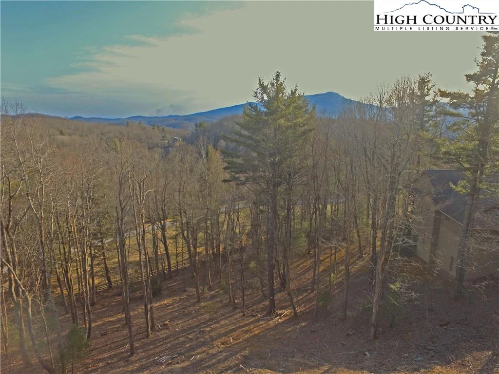 Image number 3 for the current listing