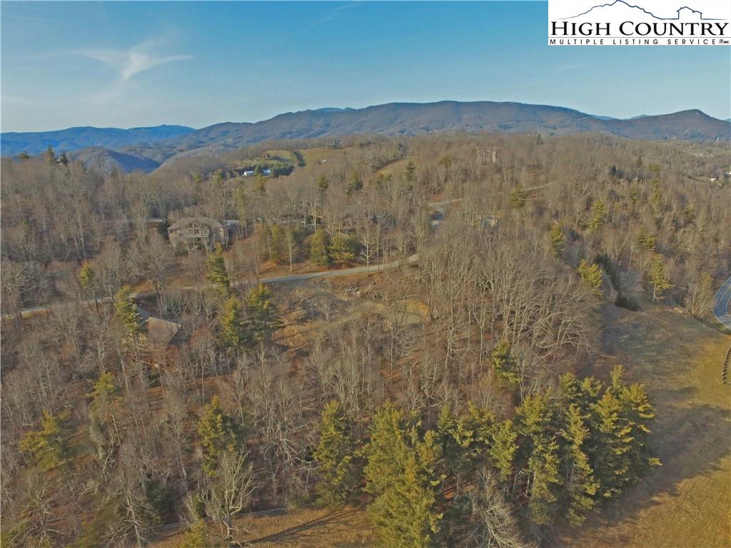 Image number 5 for the current listing