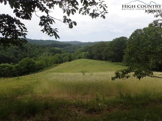Image number 1 for the current listing