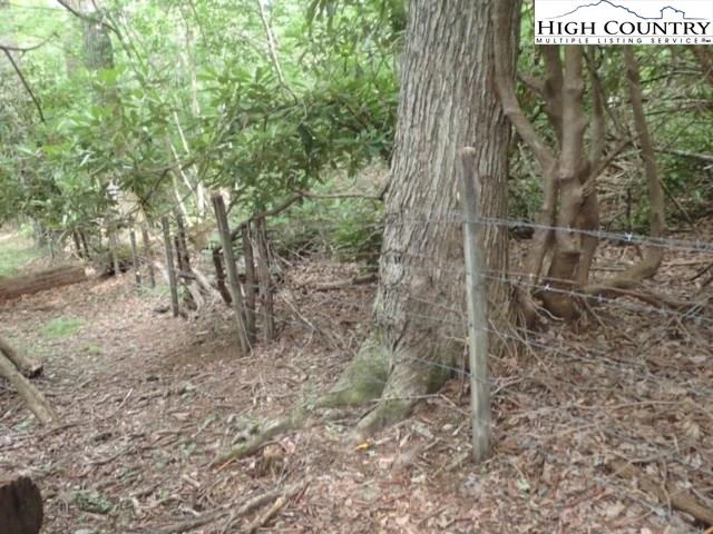 Image number 7 for the current listing