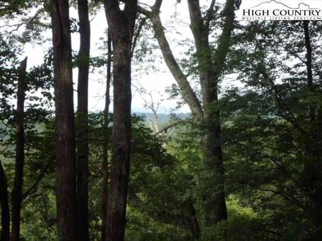 Image number 8 for the current listing