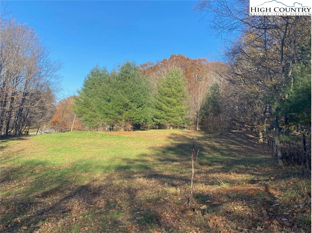 Image number 1 for the current listing