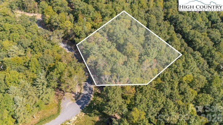 Image number 1 for the current listing