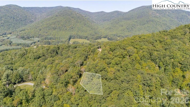 Image number 12 for the current listing