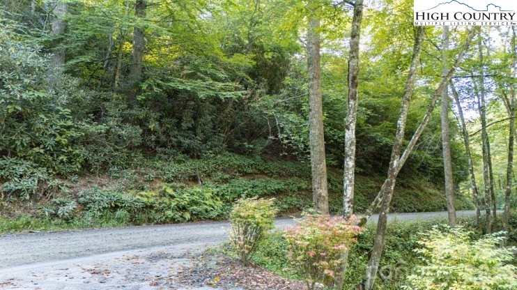 Image number 16 for the current listing