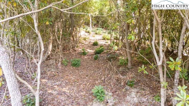 Image number 10 for the current listing