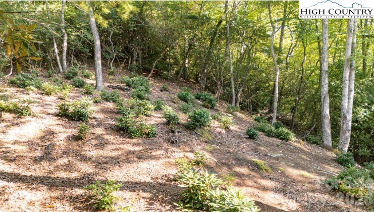 Image number 9 for the current listing