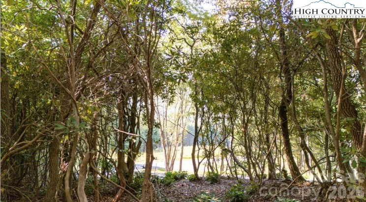 Image number 8 for the current listing