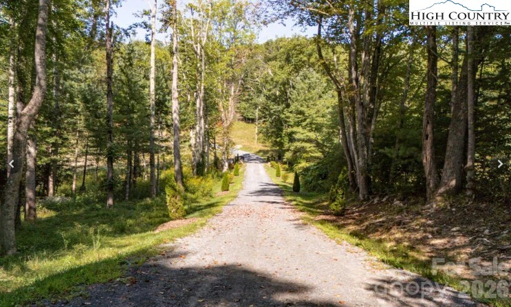 Image number 4 for the current listing