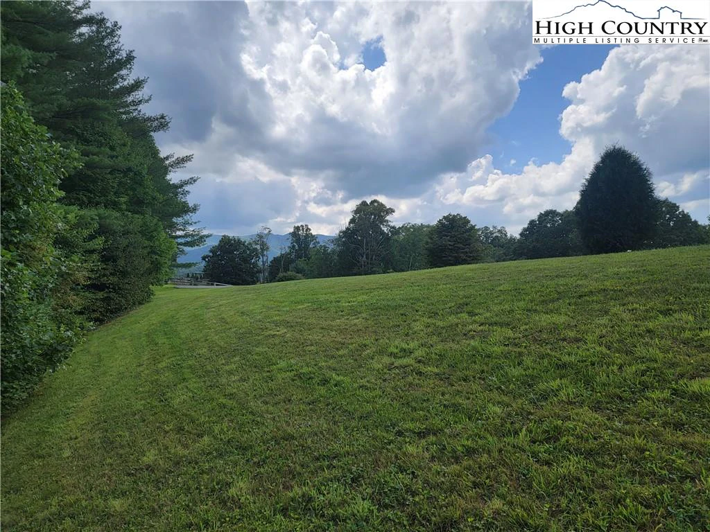 Image number 11 for the current listing
